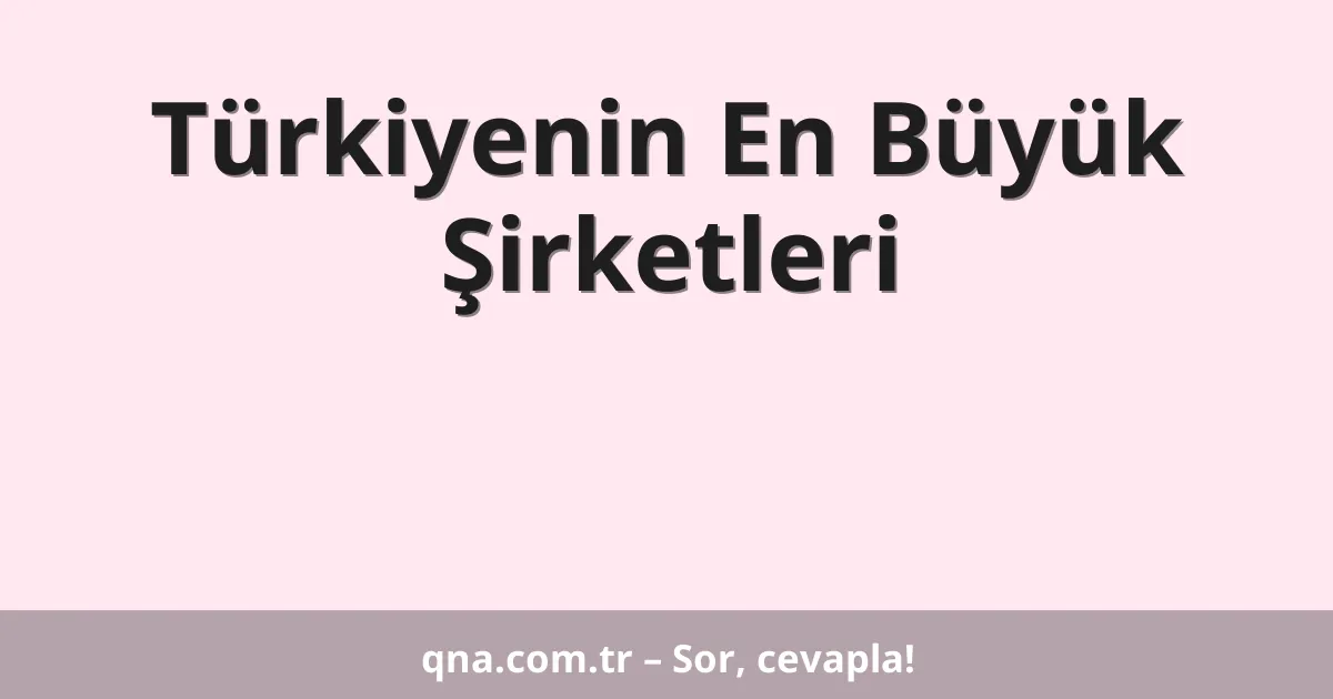 Türkiyenin En Büyük Şirketleri