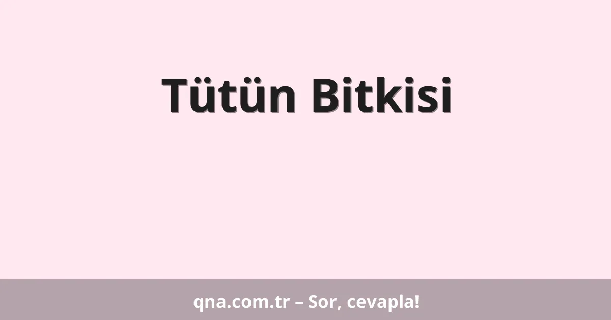 Tütün Bitkisi