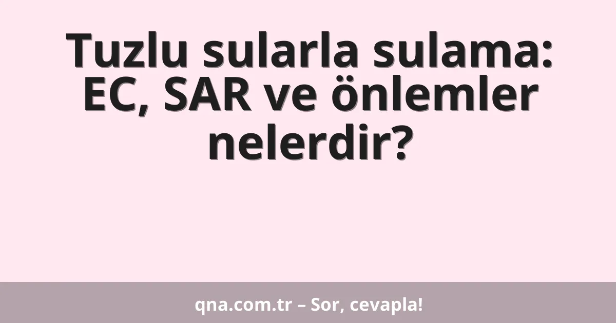 Tuzlu sularla sulama: EC, SAR ve önlemler nelerdir?