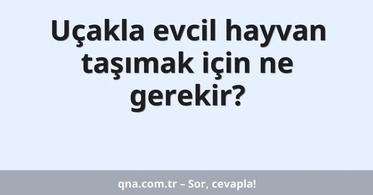 Uçakla evcil hayvan taşımak için ne gerekir?