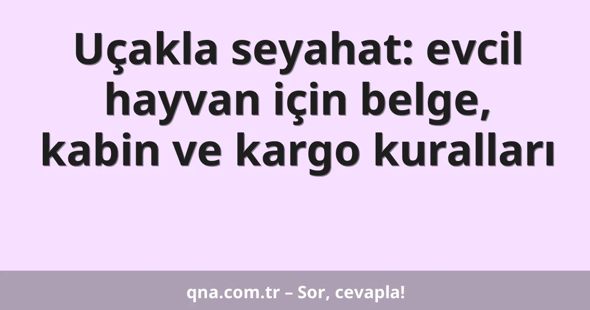 Uçakla seyahat: evcil hayvan için belge, kabin ve kargo kuralları