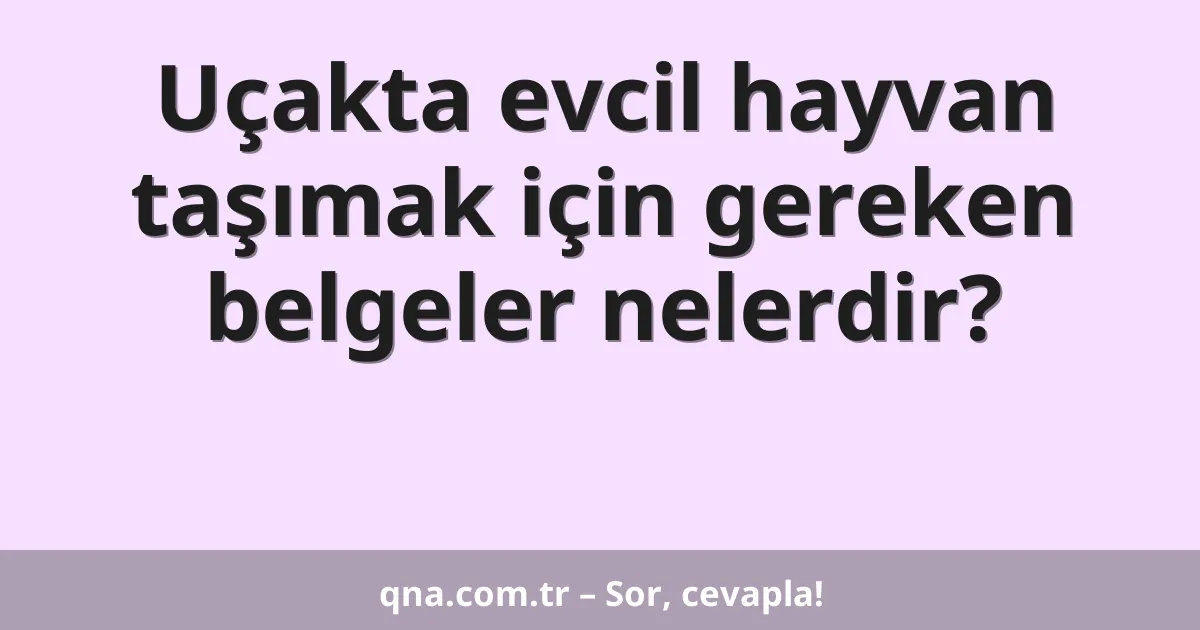 Uçakta evcil hayvan taşımak için gereken belgeler nelerdir?
