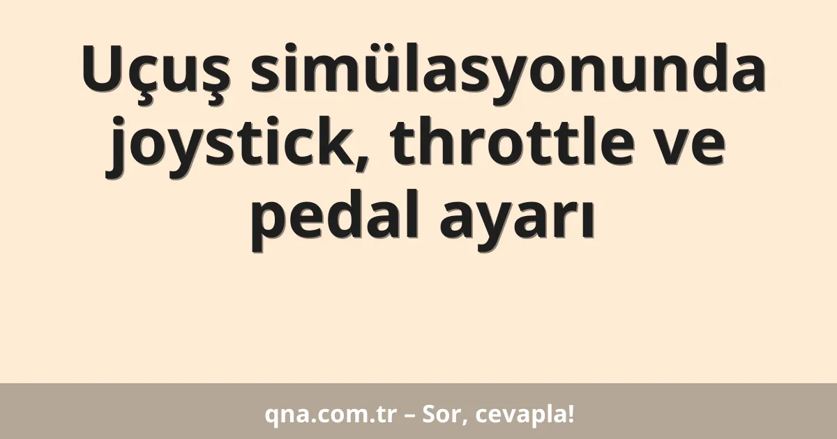 Uçuş simülasyonunda joystick, throttle ve pedal ayarı