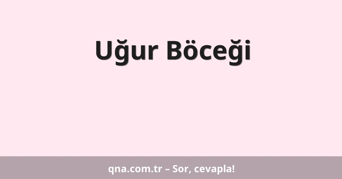 Uğur Böceği