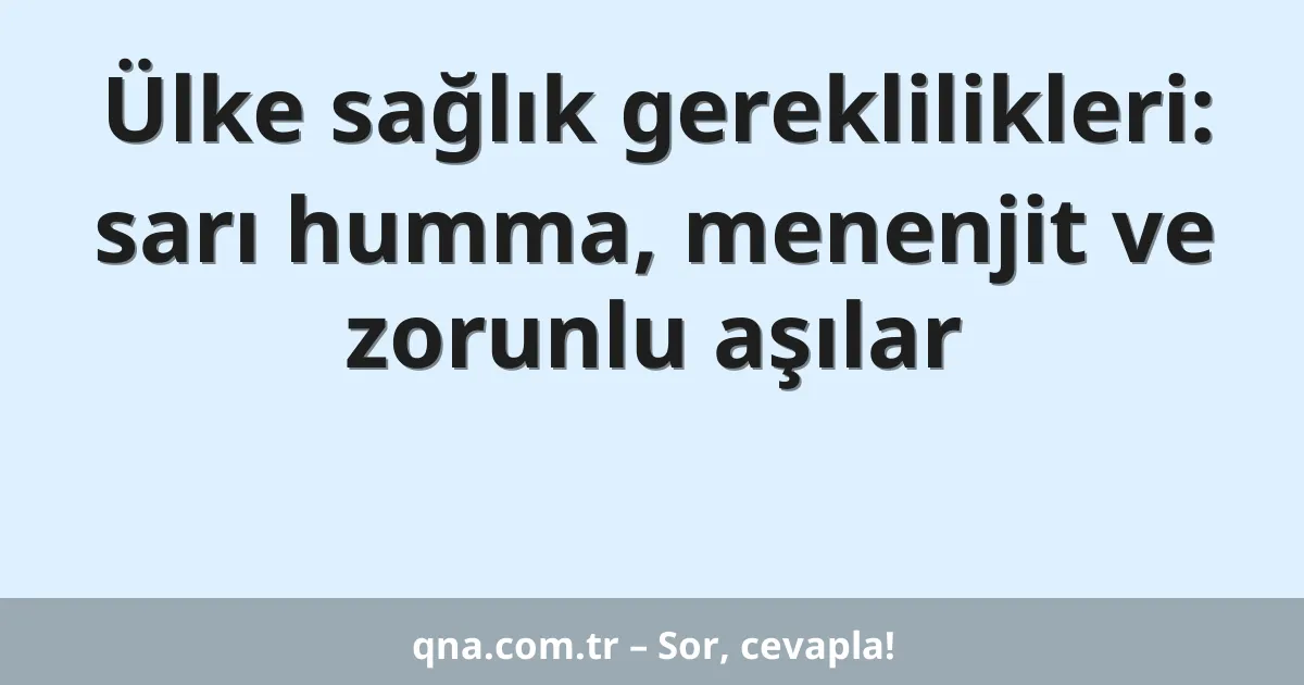 Ülke sağlık gereklilikleri: sarı humma, menenjit ve zorunlu aşılar