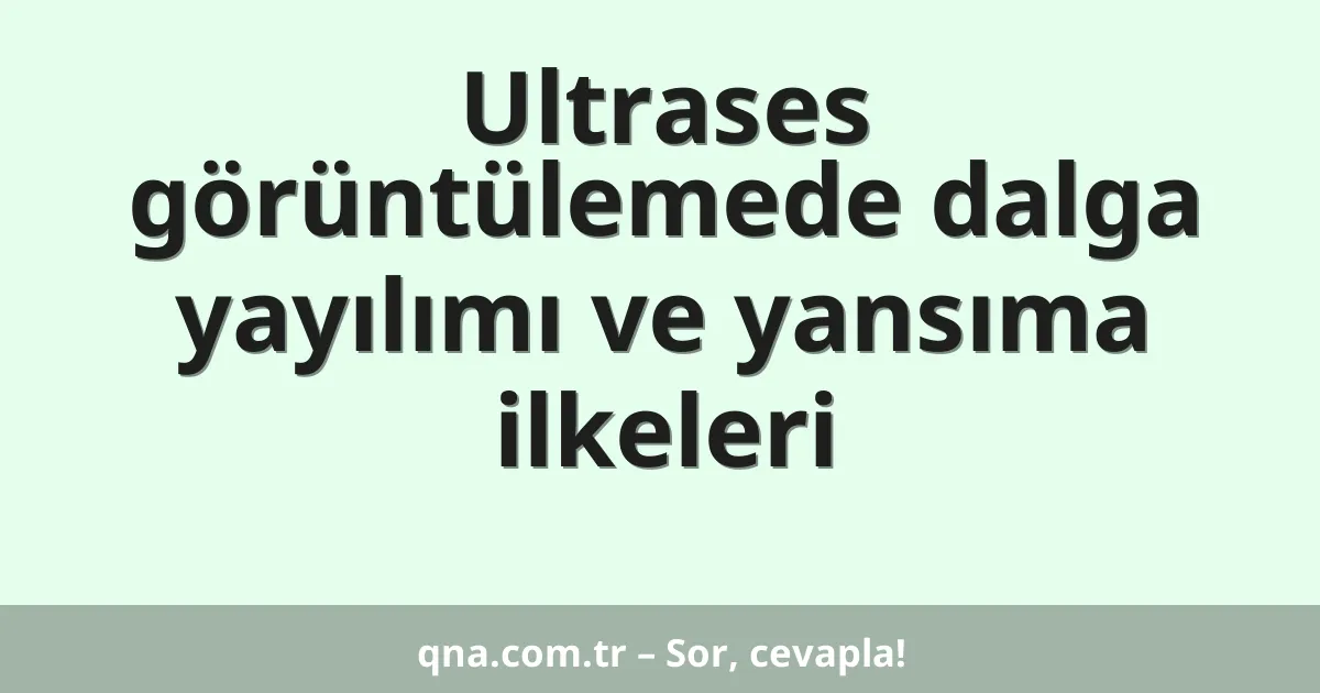 Ultrases görüntülemede dalga yayılımı ve yansıma ilkeleri