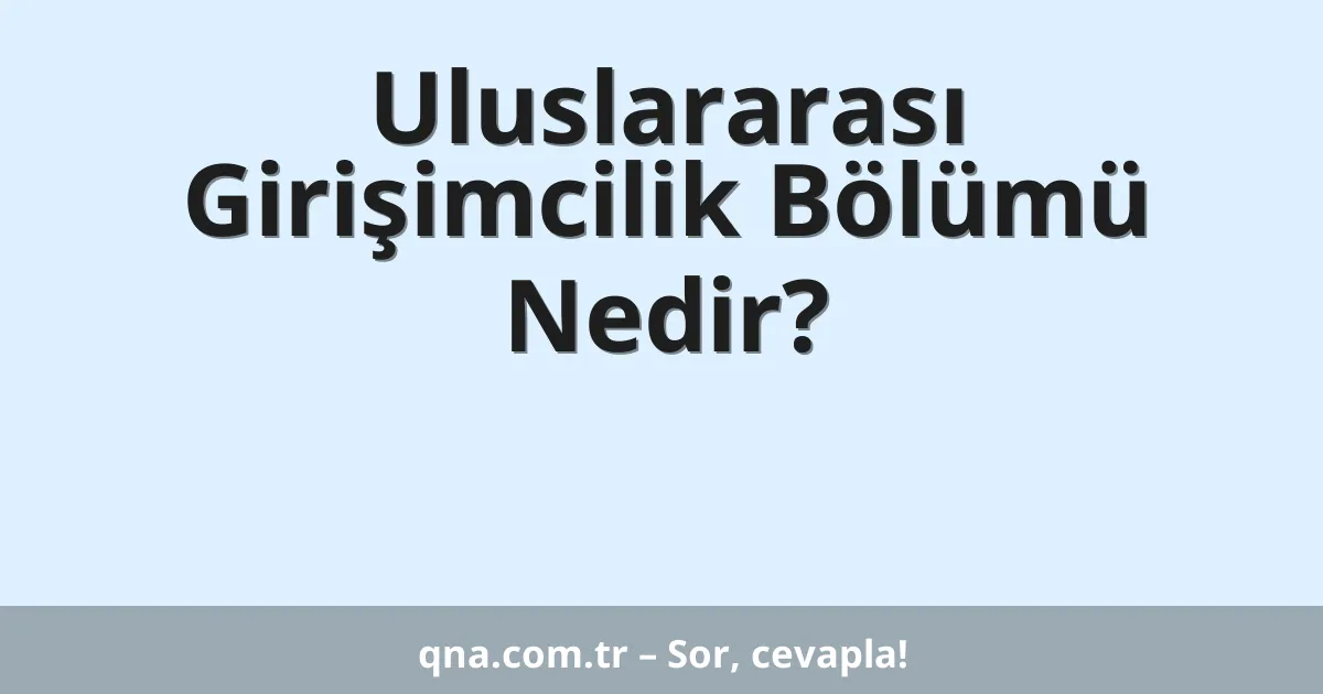 Uluslararası Girişimcilik Bölümü Nedir?