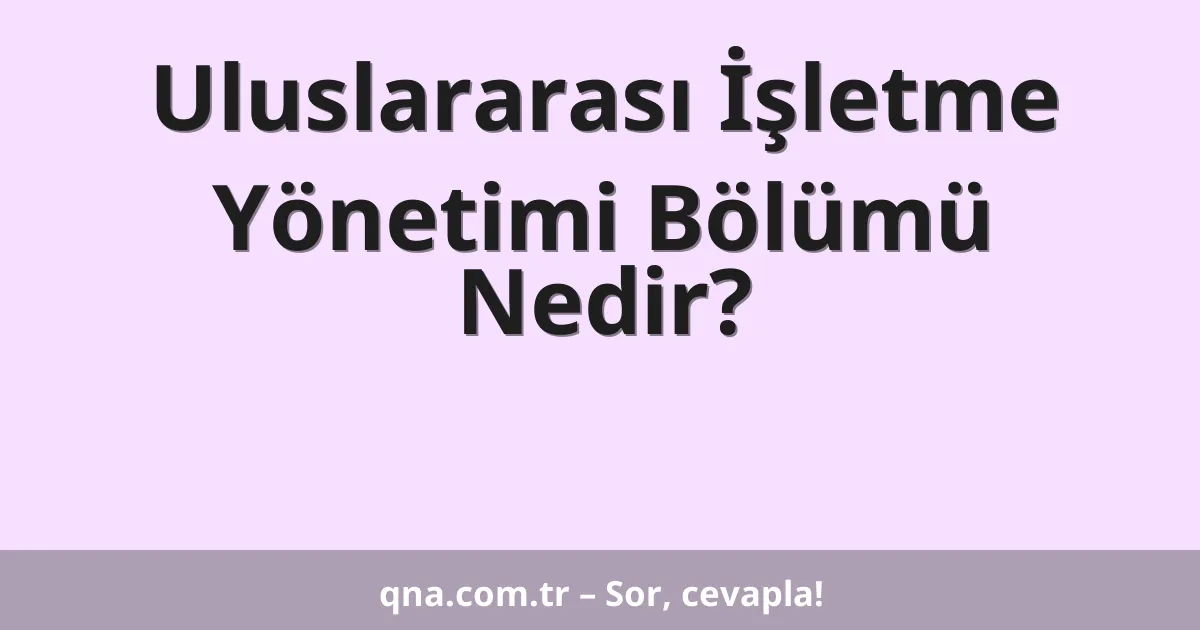 Uluslararası İşletme Yönetimi Bölümü Nedir?
