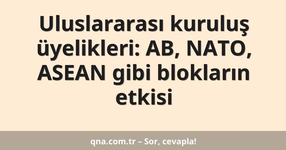 Uluslararası kuruluş üyelikleri: AB, NATO, ASEAN gibi blokların etkisi