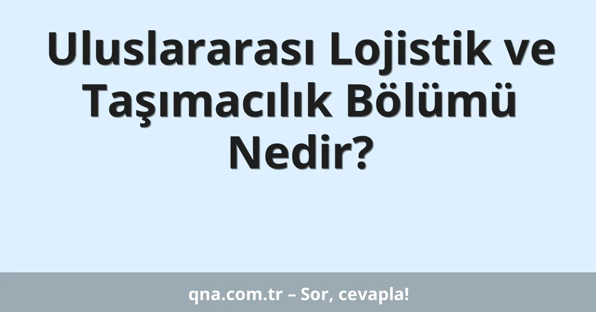 Uluslararası Lojistik ve Taşımacılık Bölümü Nedir?
