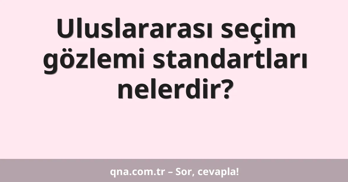 Uluslararası seçim gözlemi standartları nelerdir?