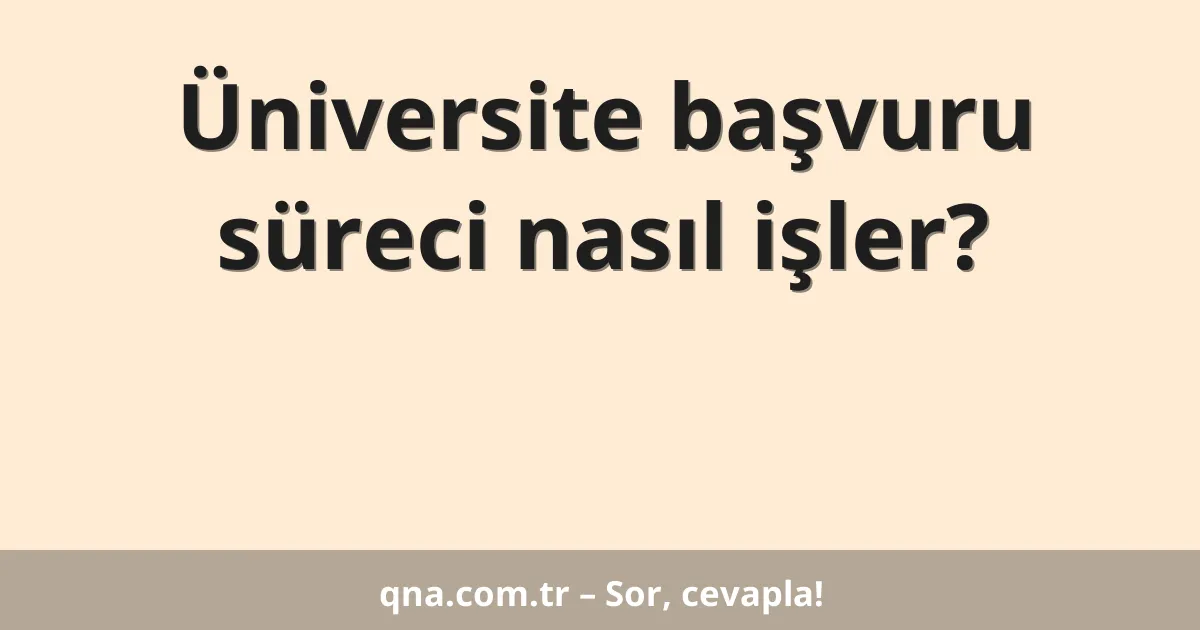 Üniversite başvuru süreci nasıl işler?