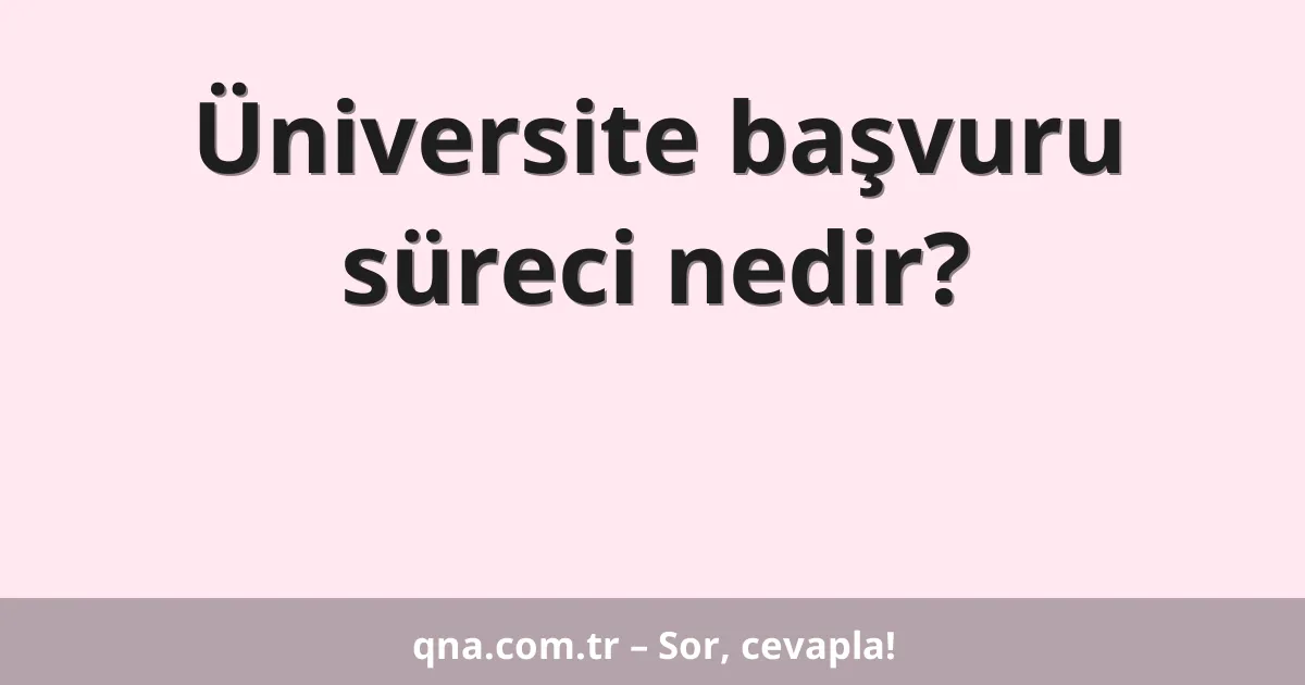 Üniversite başvuru süreci nedir?