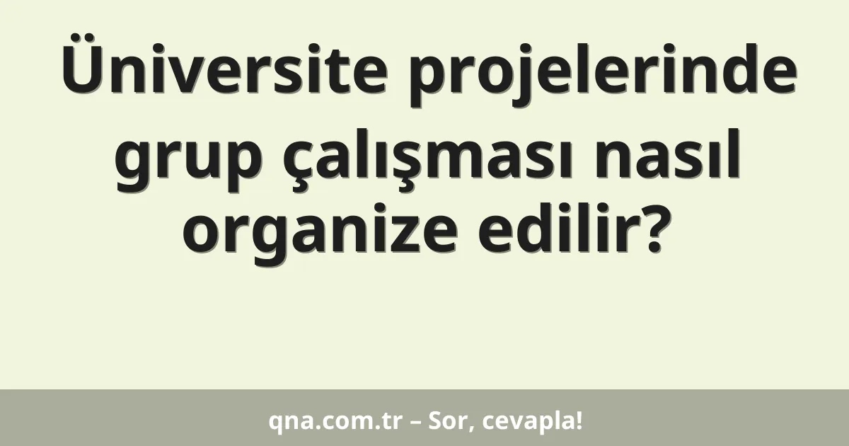 Üniversite projelerinde grup çalışması nasıl organize edilir?