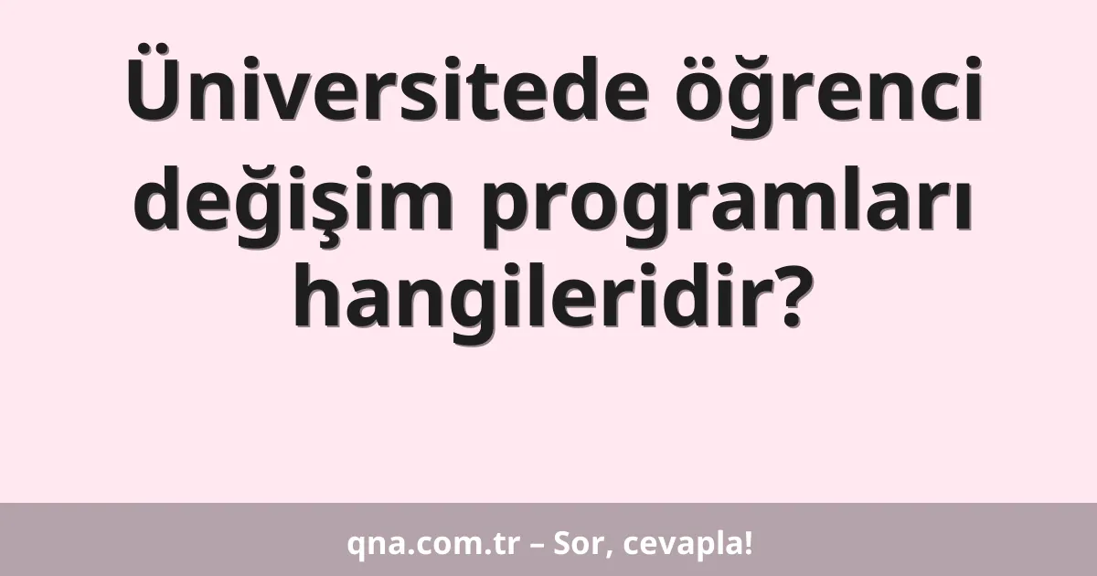 Üniversitede öğrenci değişim programları hangileridir?