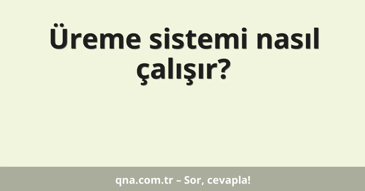 Üreme sistemi nasıl çalışır?