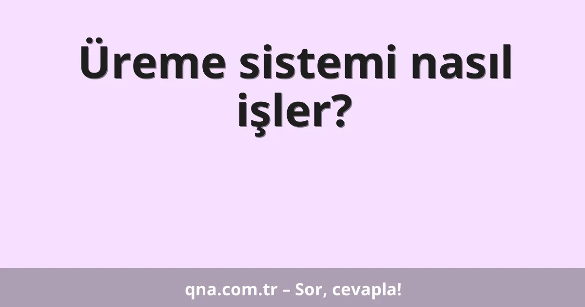 Üreme sistemi nasıl işler?