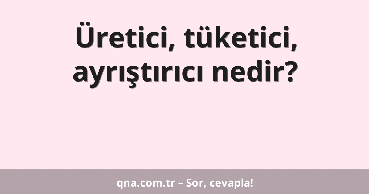 Üretici, tüketici, ayrıştırıcı nedir?