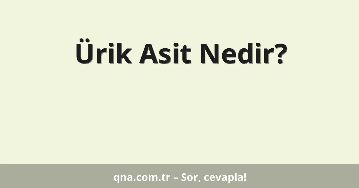 Ürik Asit Nedir?