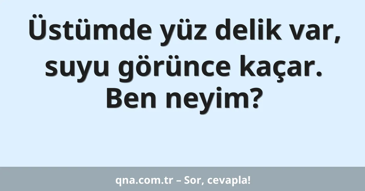 Üstümde yüz delik var, suyu görünce kaçar. Ben neyim?