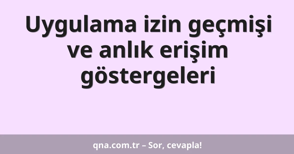 Uygulama izin geçmişi ve anlık erişim göstergeleri