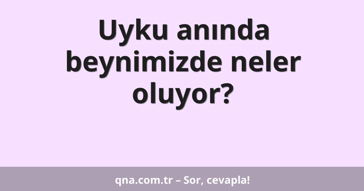 Uyku anında beynimizde neler oluyor?