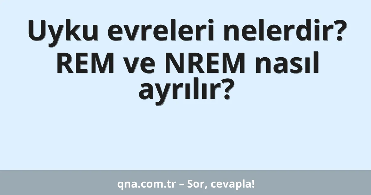 Uyku evreleri nelerdir? REM ve NREM nasıl ayrılır?