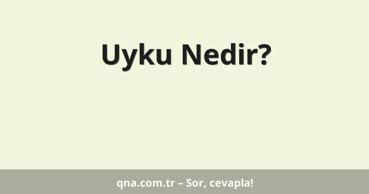 Uyku Nedir?