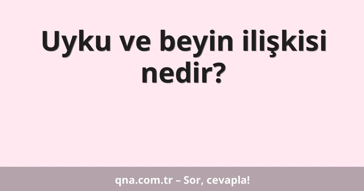 Uyku ve beyin ilişkisi nedir?