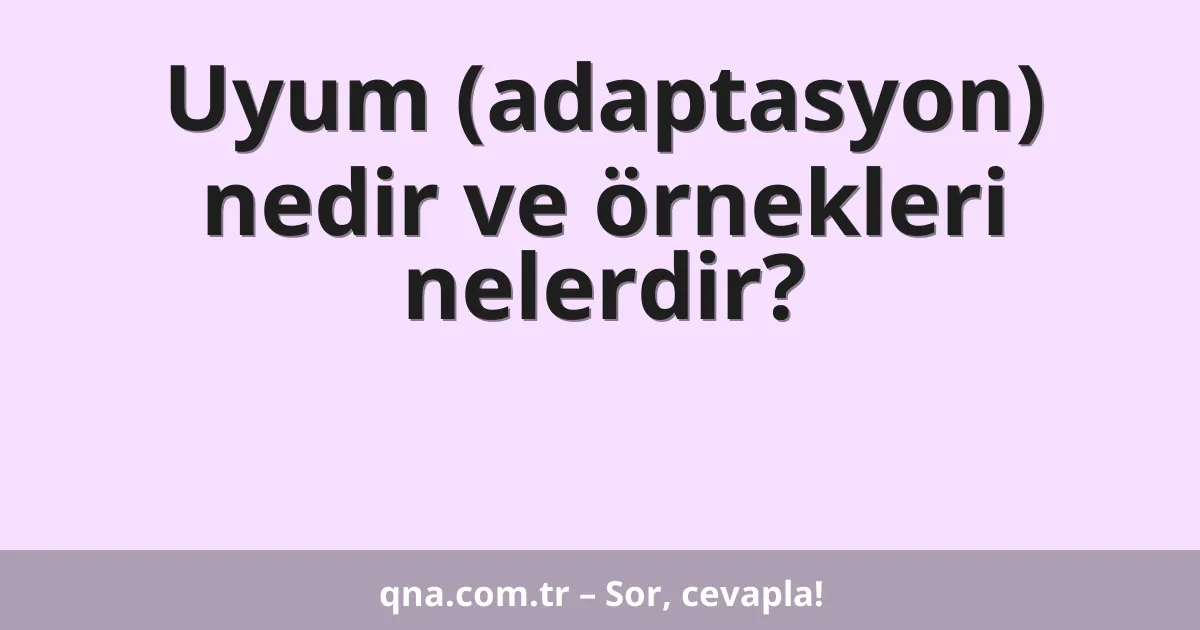 Uyum (adaptasyon) nedir ve örnekleri nelerdir?
