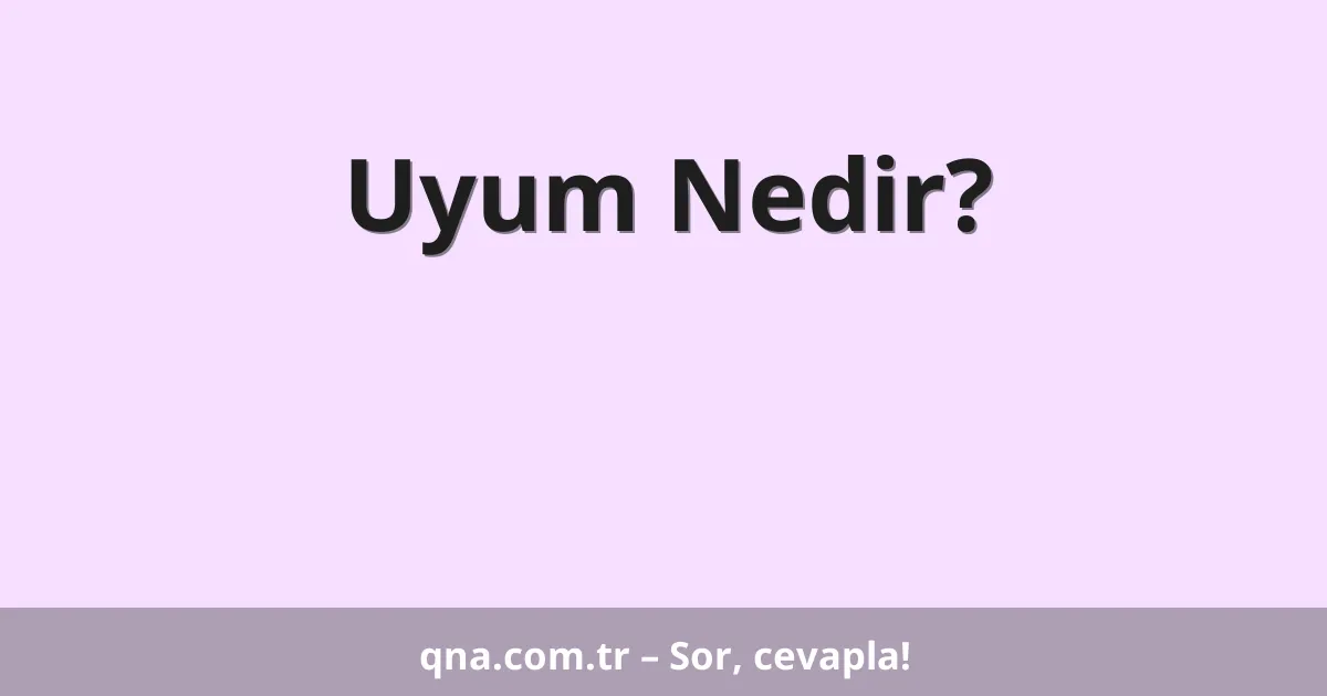 Uyum Nedir?