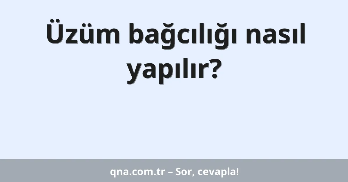 Üzüm bağcılığı nasıl yapılır?
