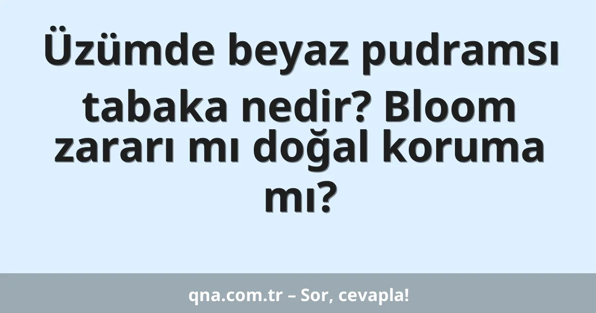 Üzümde beyaz pudramsı tabaka nedir? Bloom zararı mı doğal koruma mı?