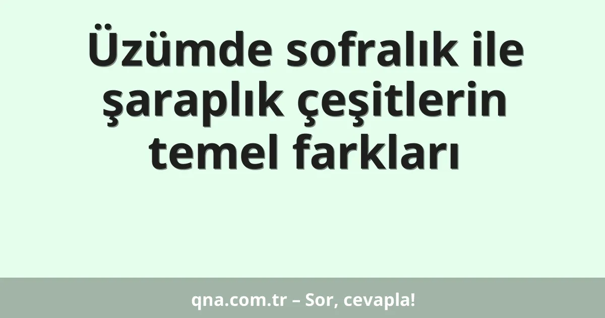 Üzümde sofralık ile şaraplık çeşitlerin temel farkları