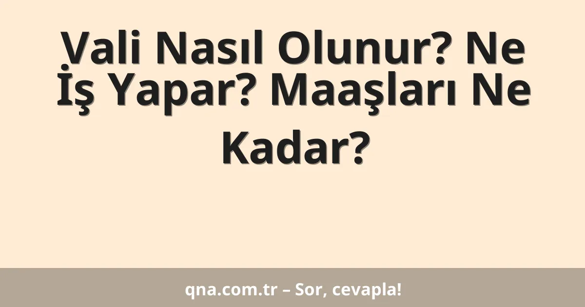 Vali Nasıl Olunur? Ne İş Yapar? Maaşları Ne Kadar?