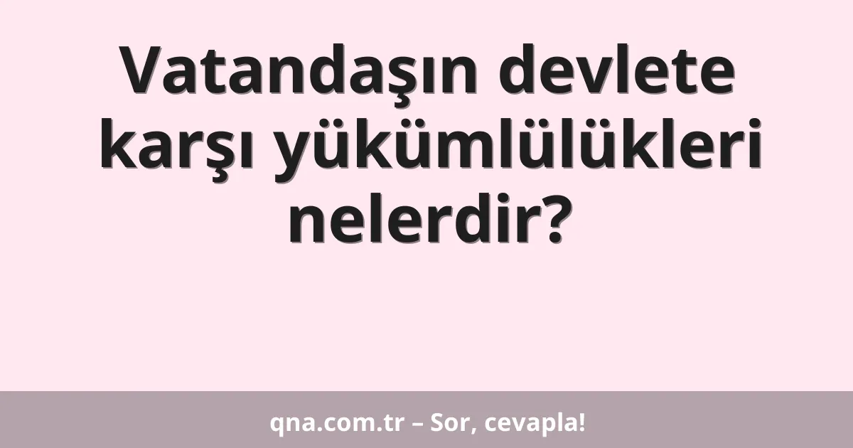 Vatandaşın devlete karşı yükümlülükleri nelerdir?