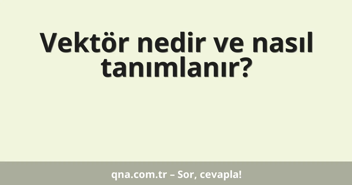 Vektör nedir ve nasıl tanımlanır?