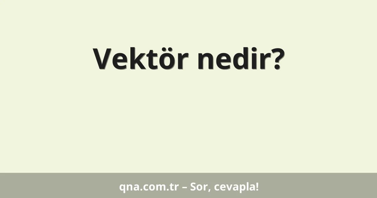 Vektör nedir?