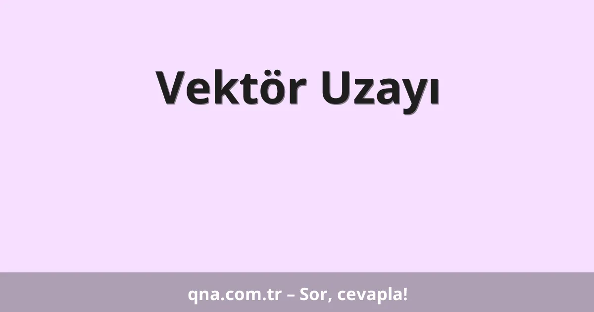 Vektör Uzayı