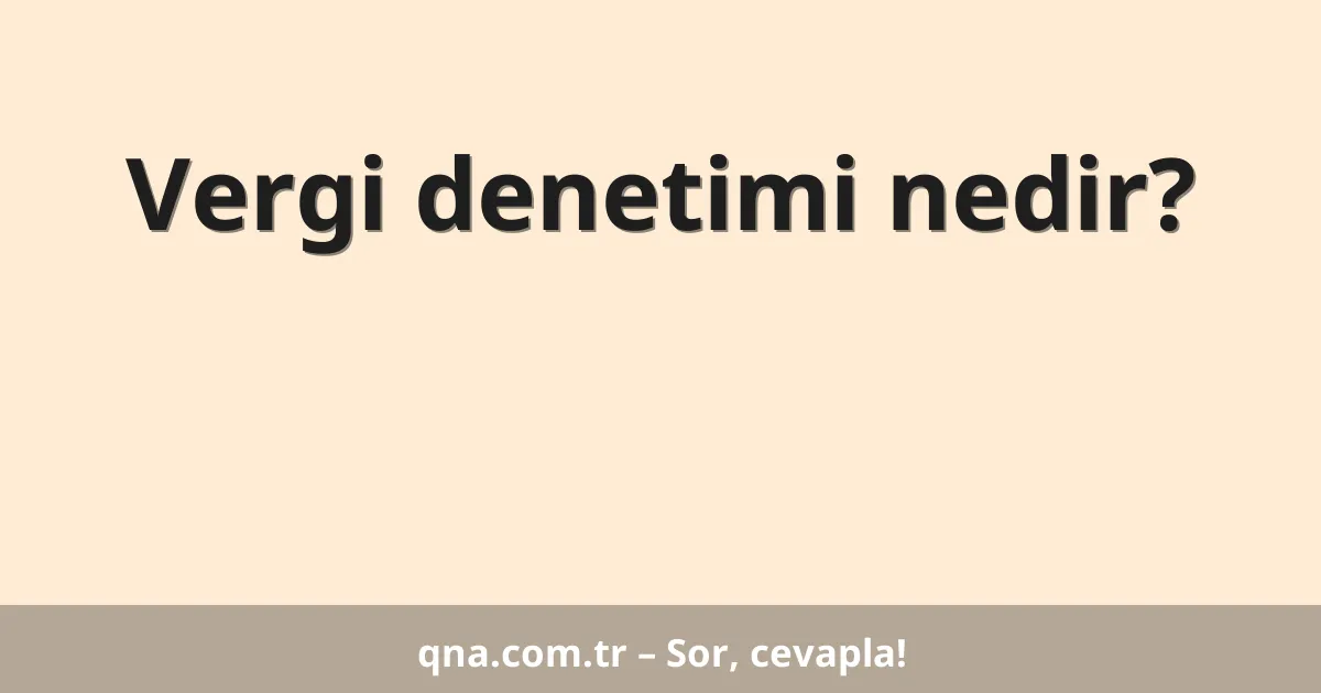 Vergi denetimi nedir?