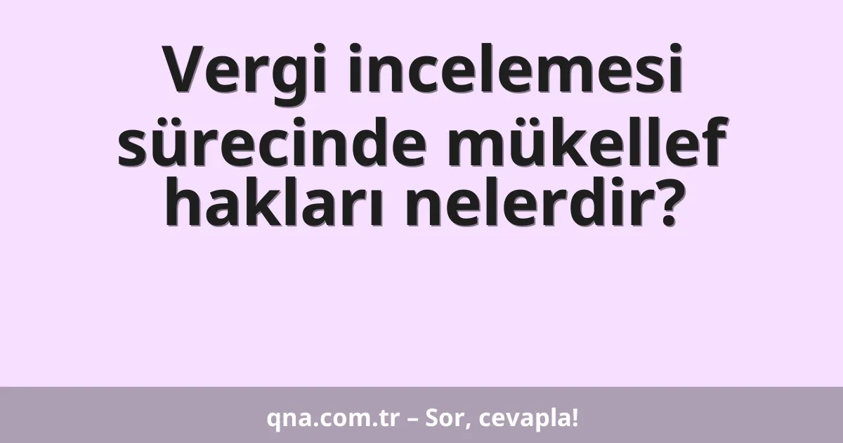 Vergi incelemesi sürecinde mükellef hakları nelerdir?