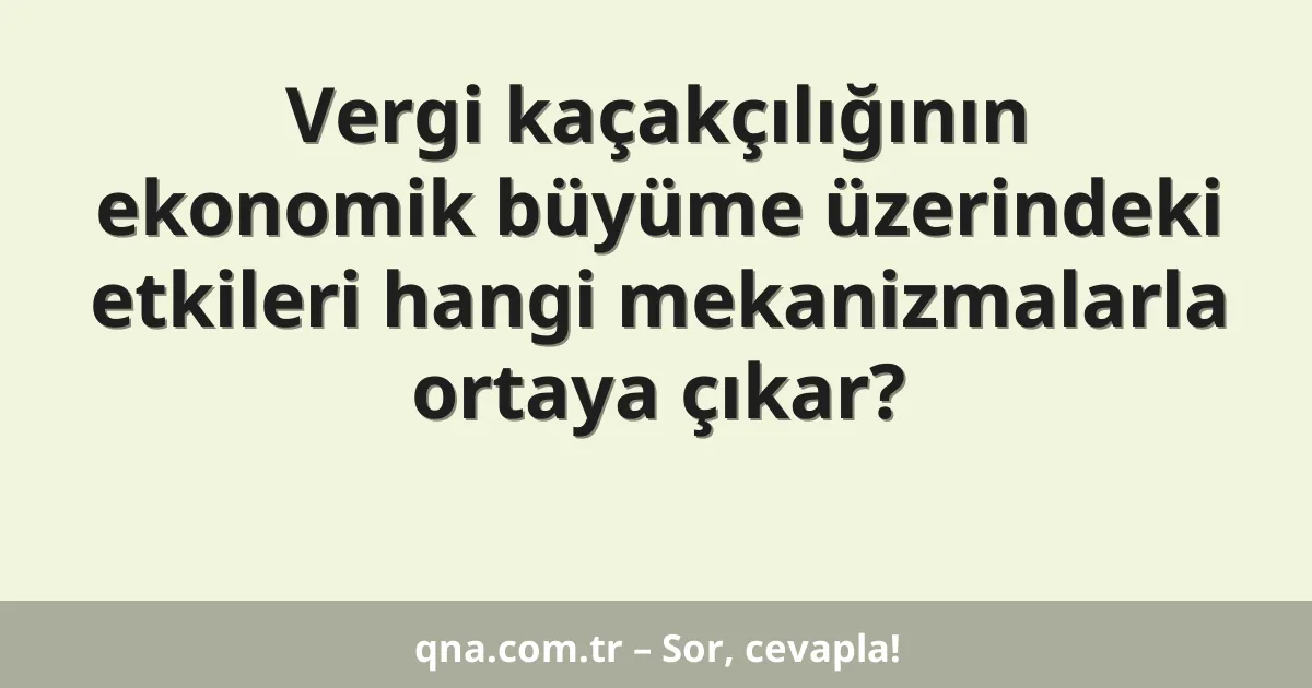 Vergi kaçakçılığının ekonomik büyüme üzerindeki etkileri hangi mekanizmalarla ortaya çıkar?
