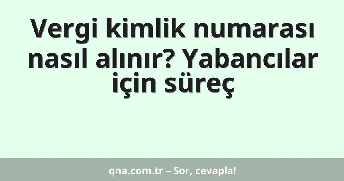 Vergi kimlik numarası nasıl alınır? Yabancılar için süreç