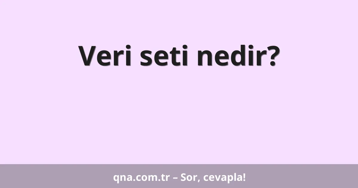 Veri seti nedir?