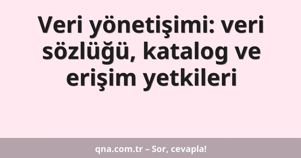 Veri yönetişimi: veri sözlüğü, katalog ve erişim yetkileri