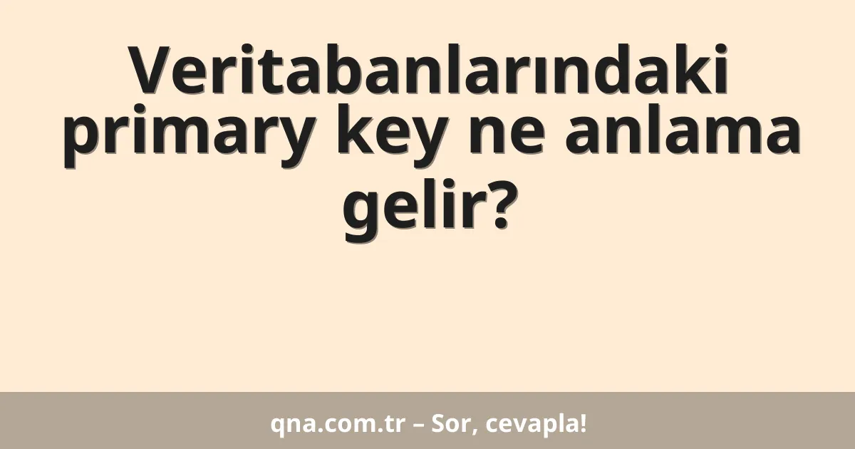 Veritabanlarındaki primary key ne anlama gelir?