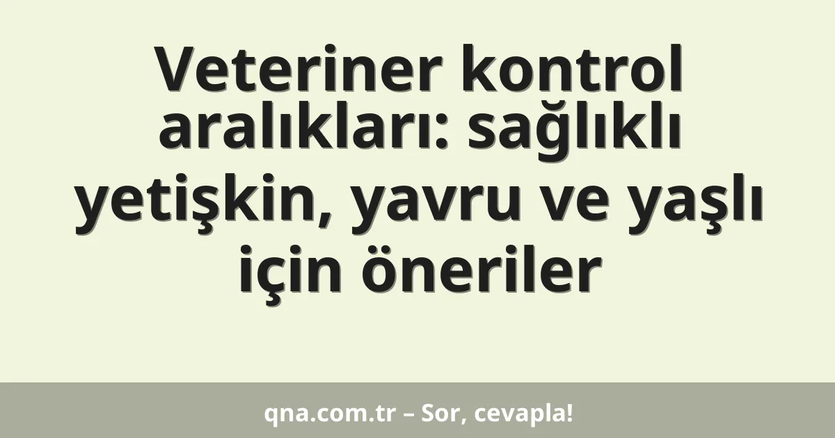 Veteriner kontrol aralıkları: sağlıklı yetişkin, yavru ve yaşlı için öneriler
