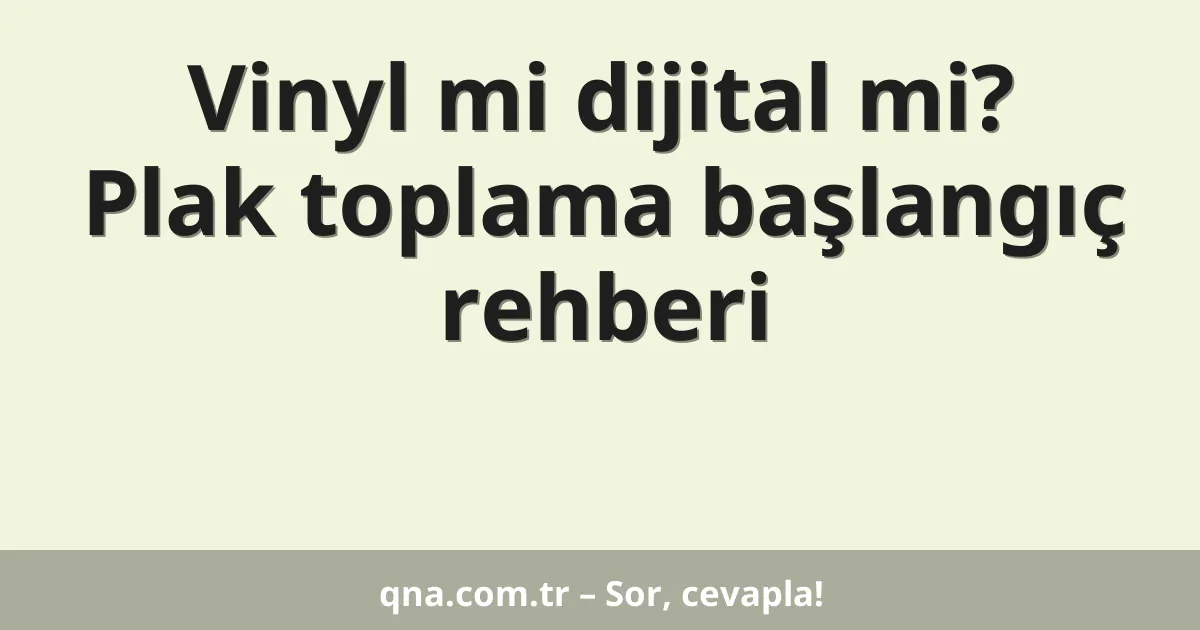 Vinyl mi dijital mi? Plak toplama başlangıç rehberi