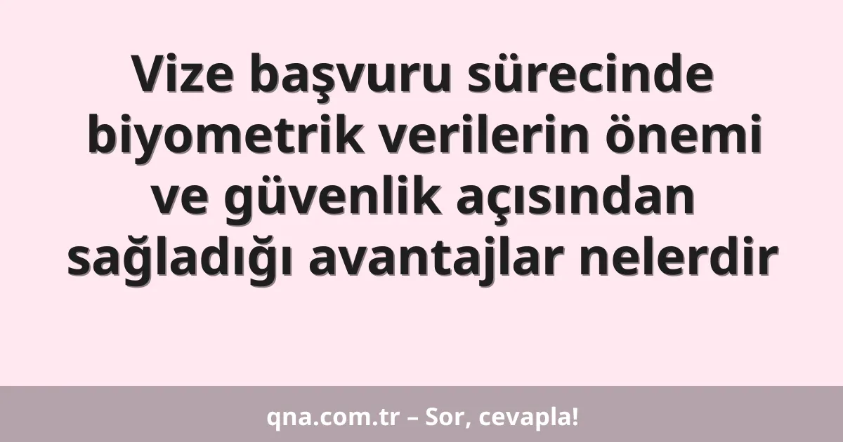 Vize başvuru sürecinde biyometrik verilerin önemi ve güvenlik açısından sağladığı avantajlar nelerdir