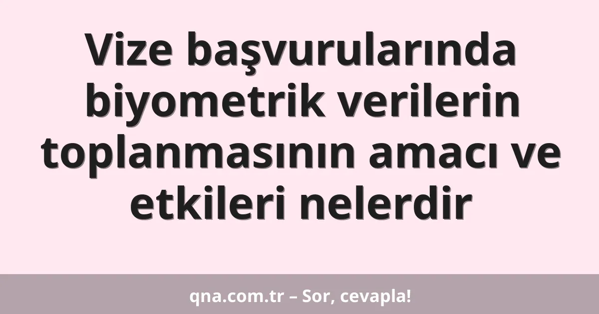Vize başvurularında biyometrik verilerin toplanmasının amacı ve etkileri nelerdir